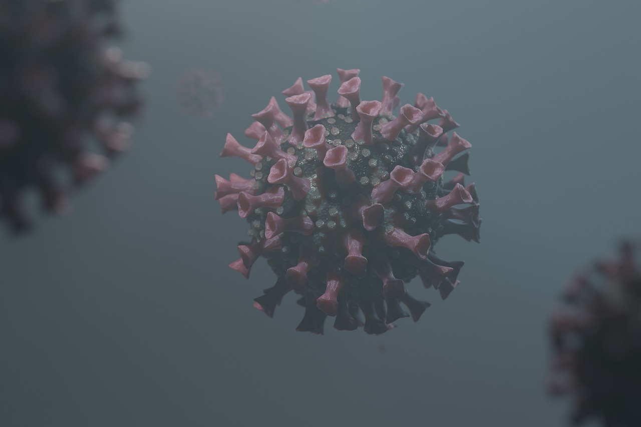 The Biology of Bacteria - Beneficial vs. Harmful Types